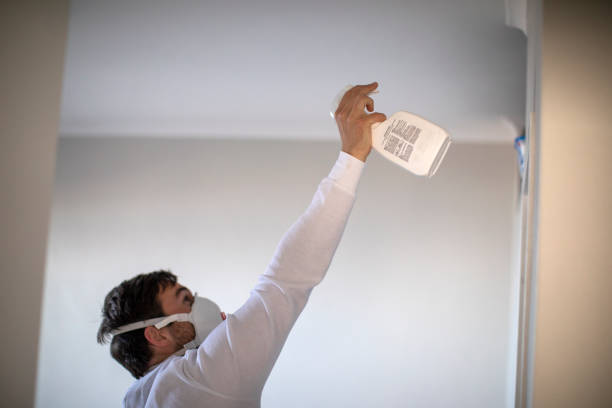 Best Certified Mold Removal  in Upper Ack, NY