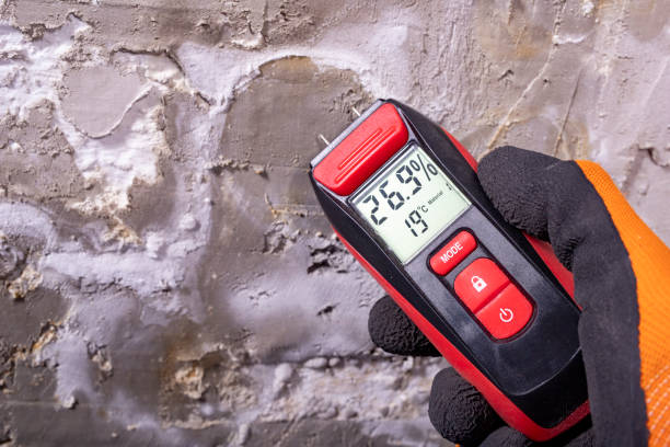 Best Attic Mold Removal  in Upper Ack, NY